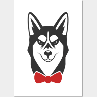 Mad tie Husky Posters and Art